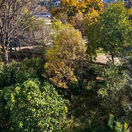 Location Near The Center! Sofia